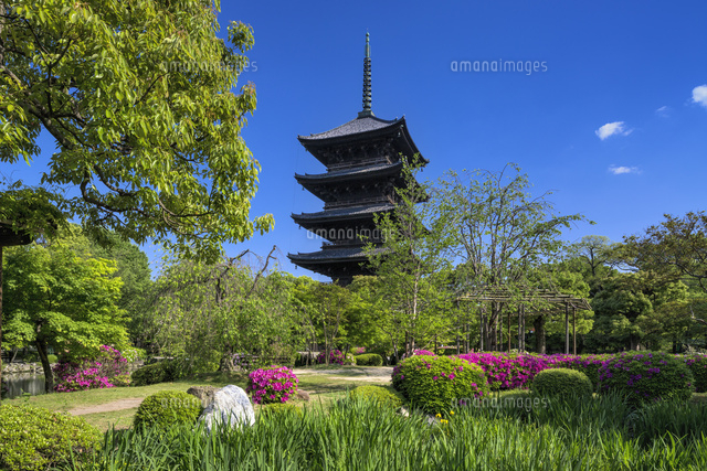 ツツジ咲く東寺と五重塔
(c)YOSHITSUGU NISHIGAKI/SEBUN PHOTO