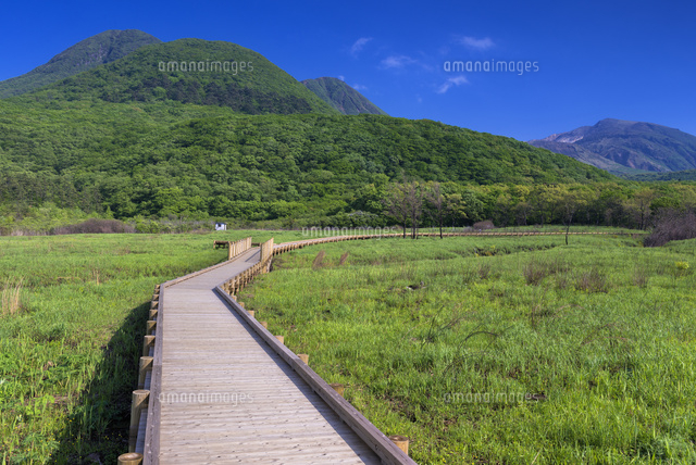タデ原湿原とくじゅう連山
(c)YOSHITSUGU NISHIGAKI/SEBUN PHOTO