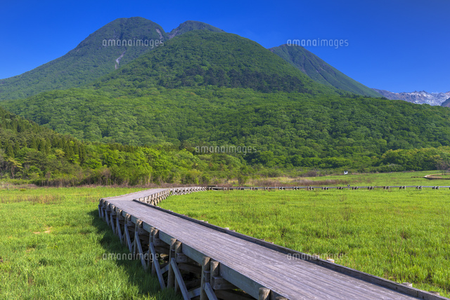 タデ原湿原とくじゅう連山
(c)YOSHITSUGU NISHIGAKI/SEBUN PHOTO