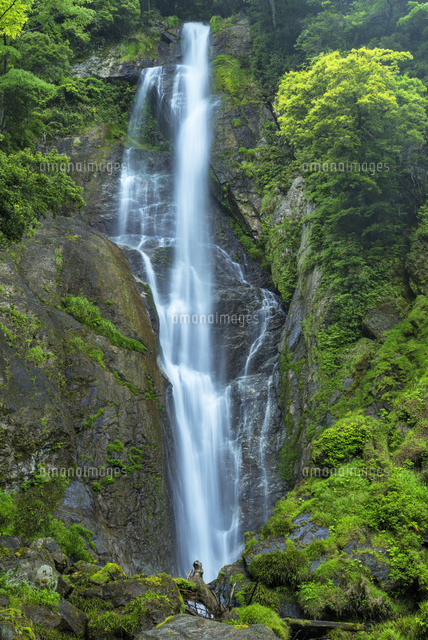 栴檀轟の滝
(c)YOSHITSUGU NISHIGAKI/SEBUN PHOTO