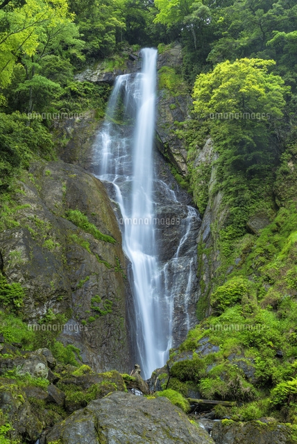 栴檀轟の滝
(c)YOSHITSUGU NISHIGAKI/SEBUN PHOTO