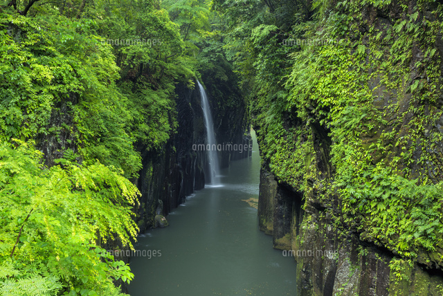 高千穂峡
(c)YOSHITSUGU NISHIGAKI/SEBUN PHOTO