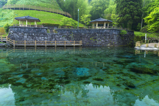 丸池湧水
(c)YOSHITSUGU NISHIGAKI/SEBUN PHOTO
