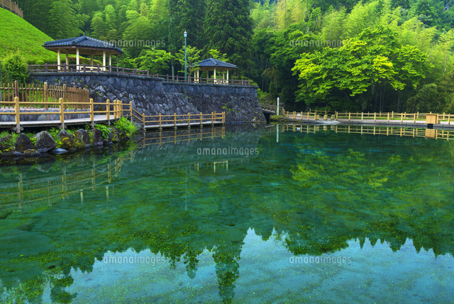 丸池湧水
(c)YOSHITSUGU NISHIGAKI/SEBUN PHOTO
