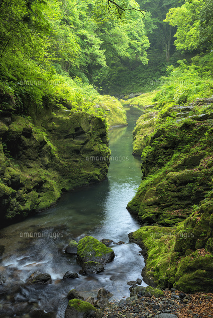 天安河原
(c)YOSHITSUGU NISHIGAKI/SEBUN PHOTO