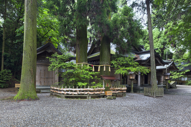 高千穂神社
(c)YOSHITSUGU NISHIGAKI/SEBUN PHOTO
