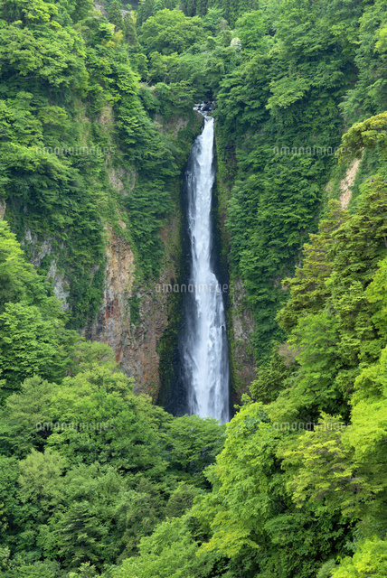 震動の滝
(c)YOSHITSUGU NISHIGAKI/SEBUN PHOTO