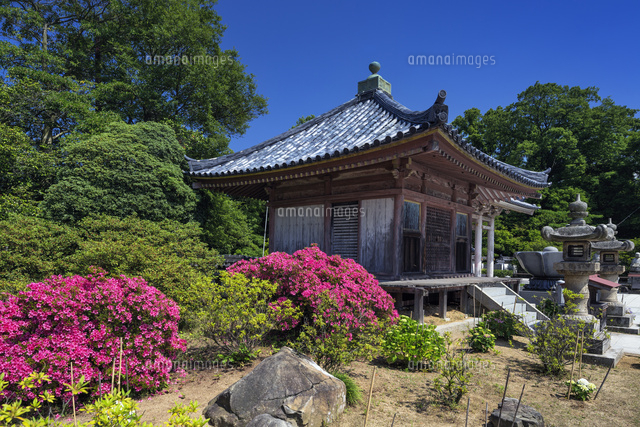 屋島寺
(c)YOSHITSUGU NISHIGAKI/SEBUN PHOTO