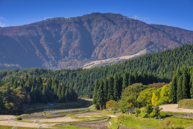 秋の氷ノ山
(c)YOSHITSUGU NISHIGAKI/SEBUN PHOTO