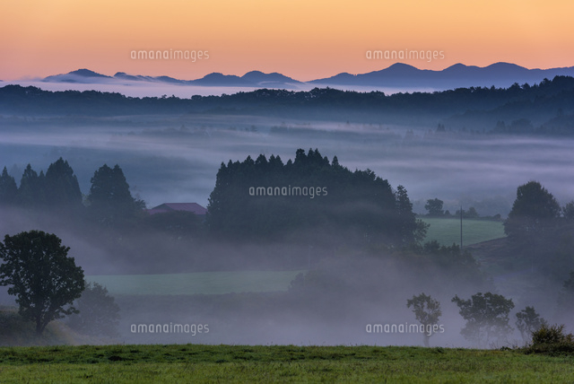 朝霧と蒜山高原
(c)YOSHITSUGU NISHIGAKI/SEBUN PHOTO