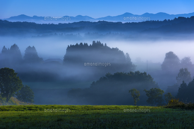 朝霧と蒜山高原
(c)YOSHITSUGU NISHIGAKI/SEBUN PHOTO