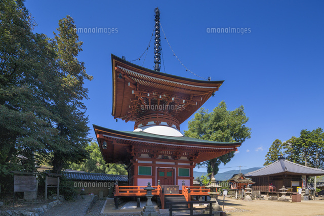 慈尊院の多宝塔
(c)YOSHITSUGU NISHIGAKI/SEBUN PHOTO