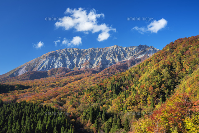 秋の鍵掛峠より大山
(c)YOSHITSUGU NISHIGAKI/SEBUN PHOTO