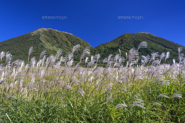 ススキと三瓶山
(c)YOSHITSUGU NISHIGAKI/SEBUN PHOTO