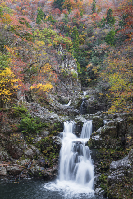 秋の三段峡 三段滝
(c)YOSHITSUGU NISHIGAKI/SEBUN PHOTO