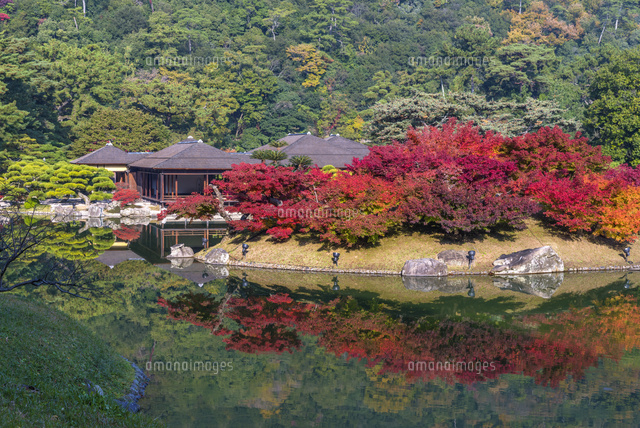 紅葉と栗林公園
(c)YOSHITSUGU NISHIGAKI/SEBUN PHOTO