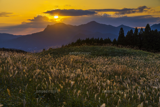 ススキの曽爾高原と夕日
(c)YOSHITSUGU NISHIGAKI/SEBUN PHOTO
