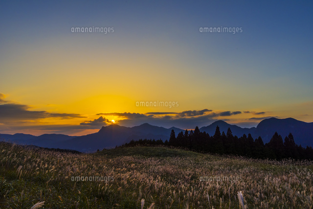 ススキの曽爾高原と夕日
(c)YOSHITSUGU NISHIGAKI/SEBUN PHOTO