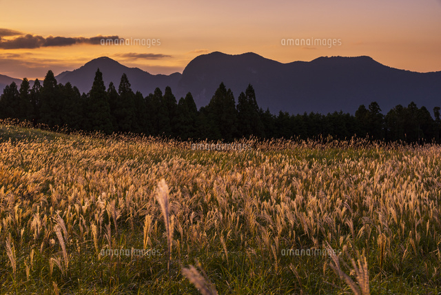 ススキの曽爾高原と夕景
(c)YOSHITSUGU NISHIGAKI/SEBUN PHOTO
