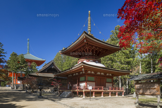 紅葉の東塔と根本大塔
(c)YOSHITSUGU NISHIGAKI/SEBUN PHOTO