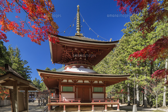 秋の金剛峯寺東塔
(c)YOSHITSUGU NISHIGAKI/SEBUN PHOTO