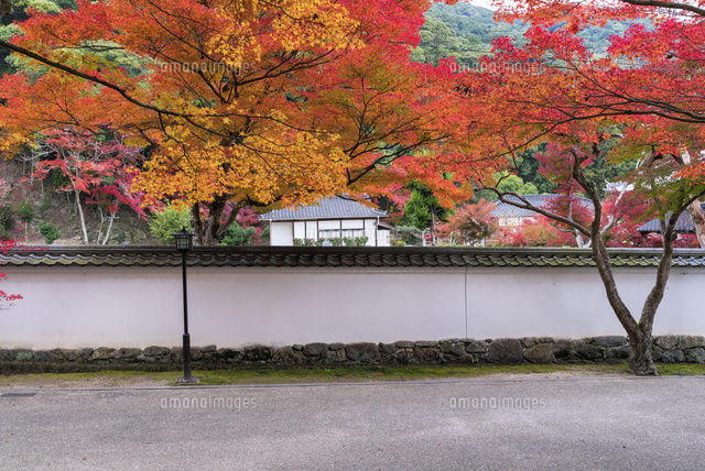 秋の紅葉谷公園
(c)YOSHITSUGU NISHIGAKI/SEBUN PHOTO