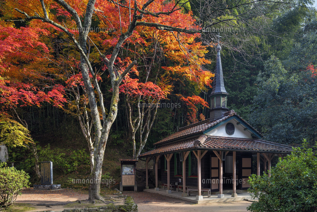 紅葉とマリア聖堂
(c)YOSHITSUGU NISHIGAKI/SEBUN PHOTO