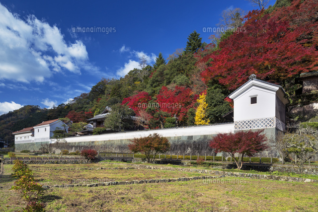 紅葉の堀庭園
(c)YOSHITSUGU NISHIGAKI/SEBUN PHOTO