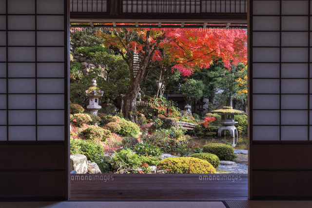 紅葉の堀庭園
(c)YOSHITSUGU NISHIGAKI/SEBUN PHOTO