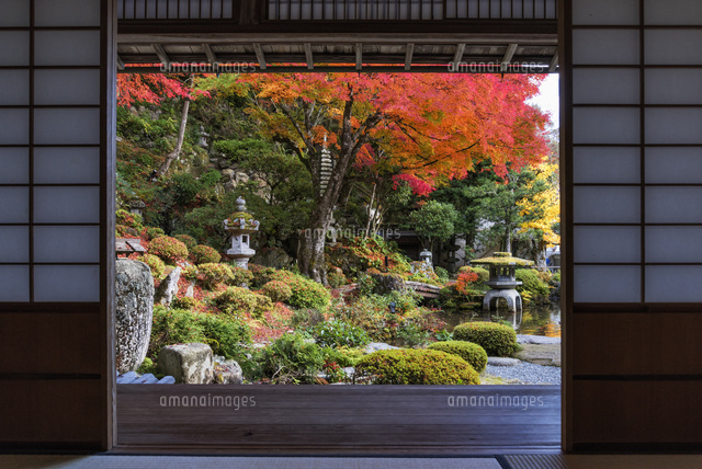 紅葉の堀庭園
(c)YOSHITSUGU NISHIGAKI/SEBUN PHOTO