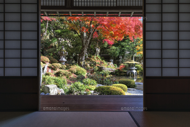 紅葉の堀庭園
(c)YOSHITSUGU NISHIGAKI/SEBUN PHOTO