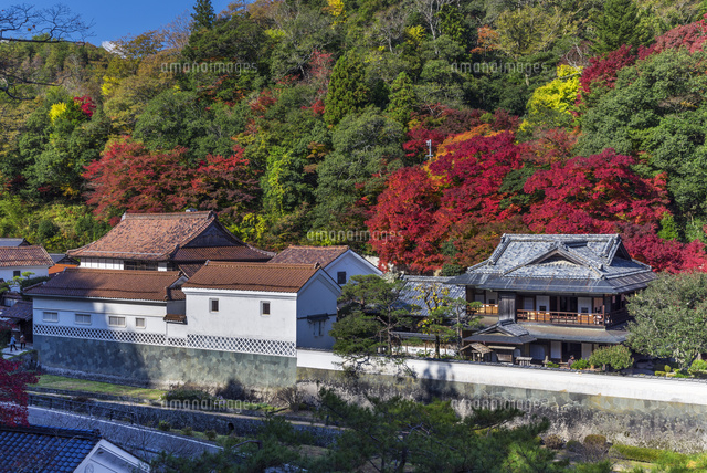 紅葉の堀庭園
(c)YOSHITSUGU NISHIGAKI/SEBUN PHOTO