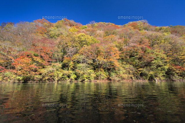 秋の帝釈峡
(c)YOSHITSUGU NISHIGAKI/SEBUN PHOTO