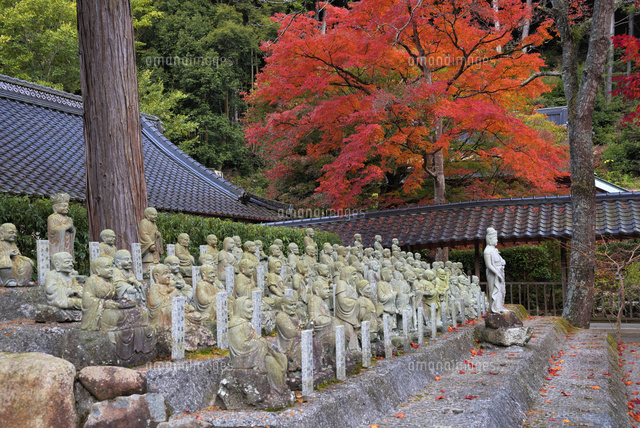 秋の仏通寺
(c)YOSHITSUGU NISHIGAKI/SEBUN PHOTO