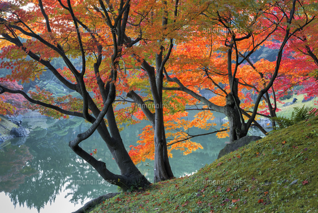 秋の栗林公園
(c)YOSHITSUGU NISHIGAKI/SEBUN PHOTO