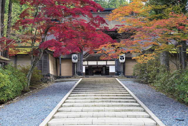 秋の金剛峯寺の正門
(c)YOSHITSUGU NISHIGAKI/SEBUN PHOTO
