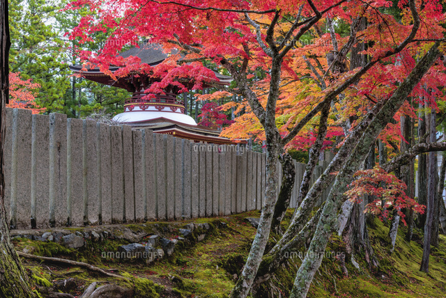 秋の金剛峯寺東塔
(c)YOSHITSUGU NISHIGAKI/SEBUN PHOTO