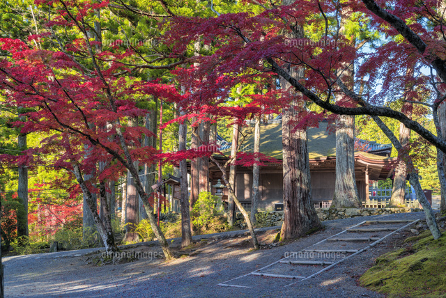 秋の金剛峯寺
(c)YOSHITSUGU NISHIGAKI/SEBUN PHOTO
