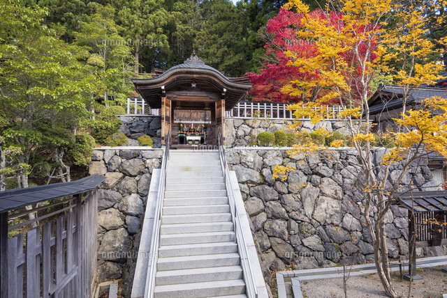 秋の金剛峯寺
(c)YOSHITSUGU NISHIGAKI/SEBUN PHOTO