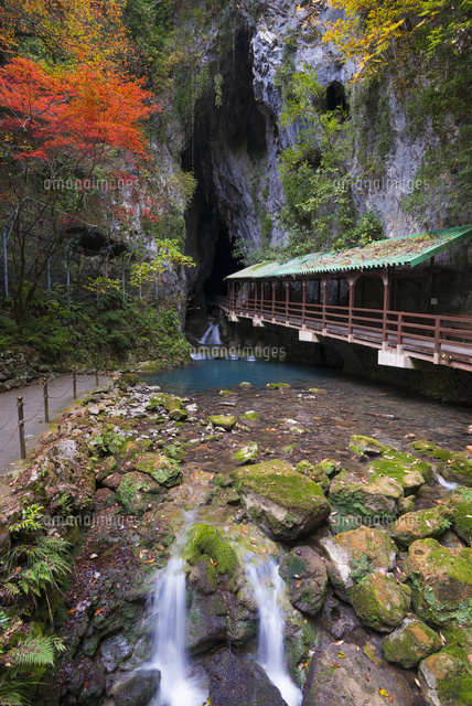 紅葉と秋芳洞入り口
(c)YOSHITSUGU NISHIGAKI/SEBUN PHOTO