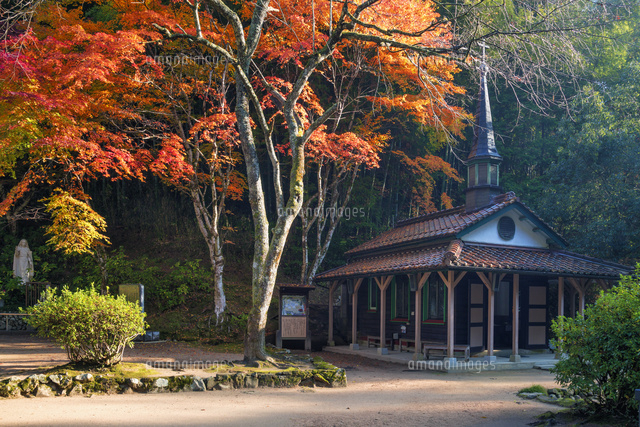 紅葉とマリア聖堂
(c)YOSHITSUGU NISHIGAKI/SEBUN PHOTO