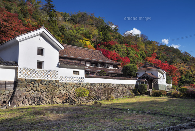 紅葉の堀庭園
(c)YOSHITSUGU NISHIGAKI/SEBUN PHOTO