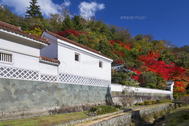 紅葉の堀庭園
(c)YOSHITSUGU NISHIGAKI/SEBUN PHOTO