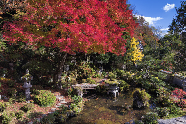 紅葉の堀庭園
(c)YOSHITSUGU NISHIGAKI/SEBUN PHOTO