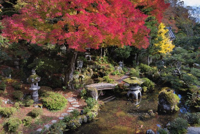 紅葉の堀庭園
(c)YOSHITSUGU NISHIGAKI/SEBUN PHOTO