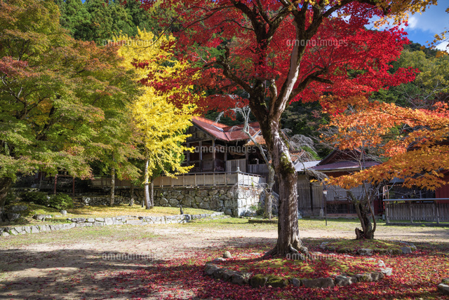 秋の鷲原八幡宮
(c)YOSHITSUGU NISHIGAKI/SEBUN PHOTO