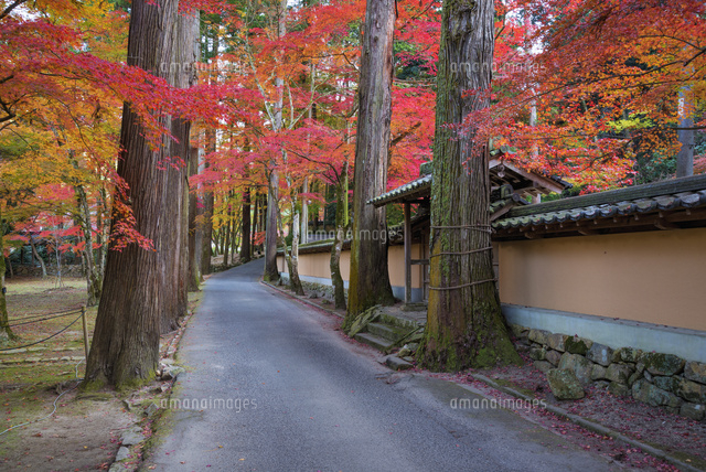 秋の仏通寺
(c)YOSHITSUGU NISHIGAKI/SEBUN PHOTO
