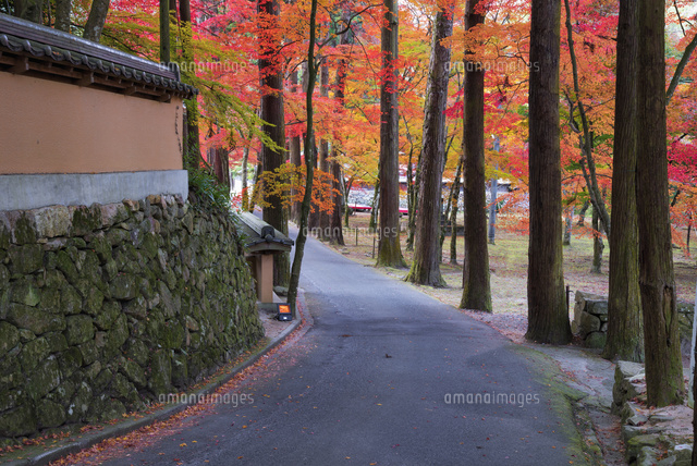 秋の仏通寺
(c)YOSHITSUGU NISHIGAKI/SEBUN PHOTO
