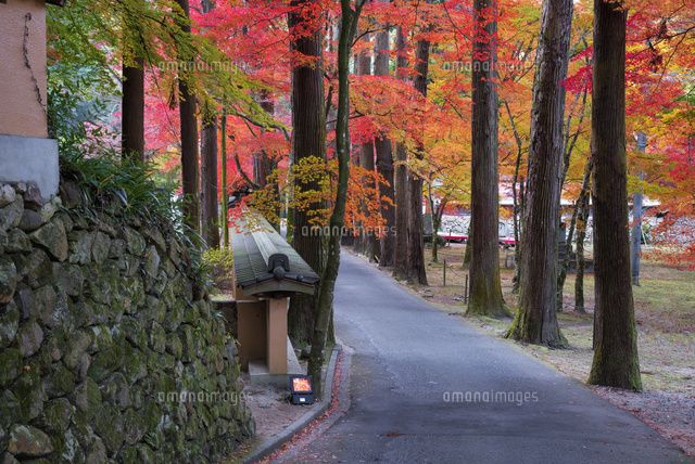秋の仏通寺
(c)YOSHITSUGU NISHIGAKI/SEBUN PHOTO
