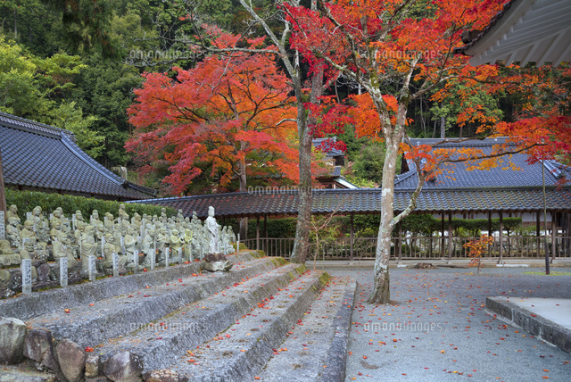 秋の仏通寺
(c)YOSHITSUGU NISHIGAKI/SEBUN PHOTO